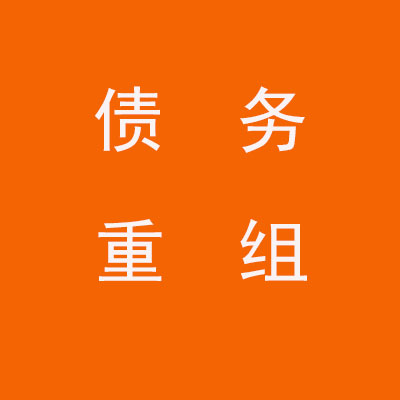 东方华侨农场个人债务重组优化